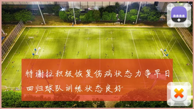 特谢拉积极恢复伤病状态力争早日回归球队训练状态良好
