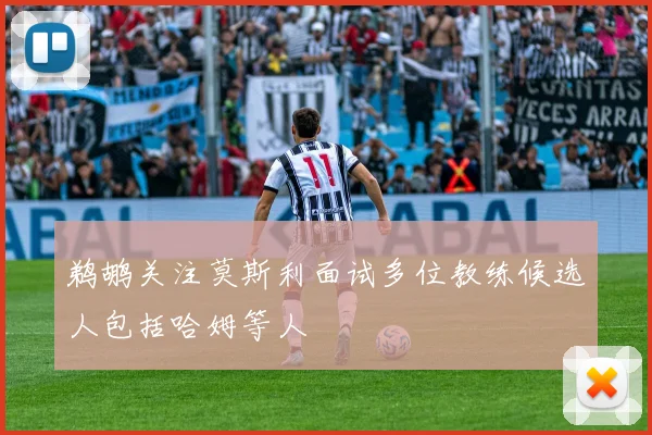 鹈鹕关注莫斯利面试多位教练候选人包括哈姆等人